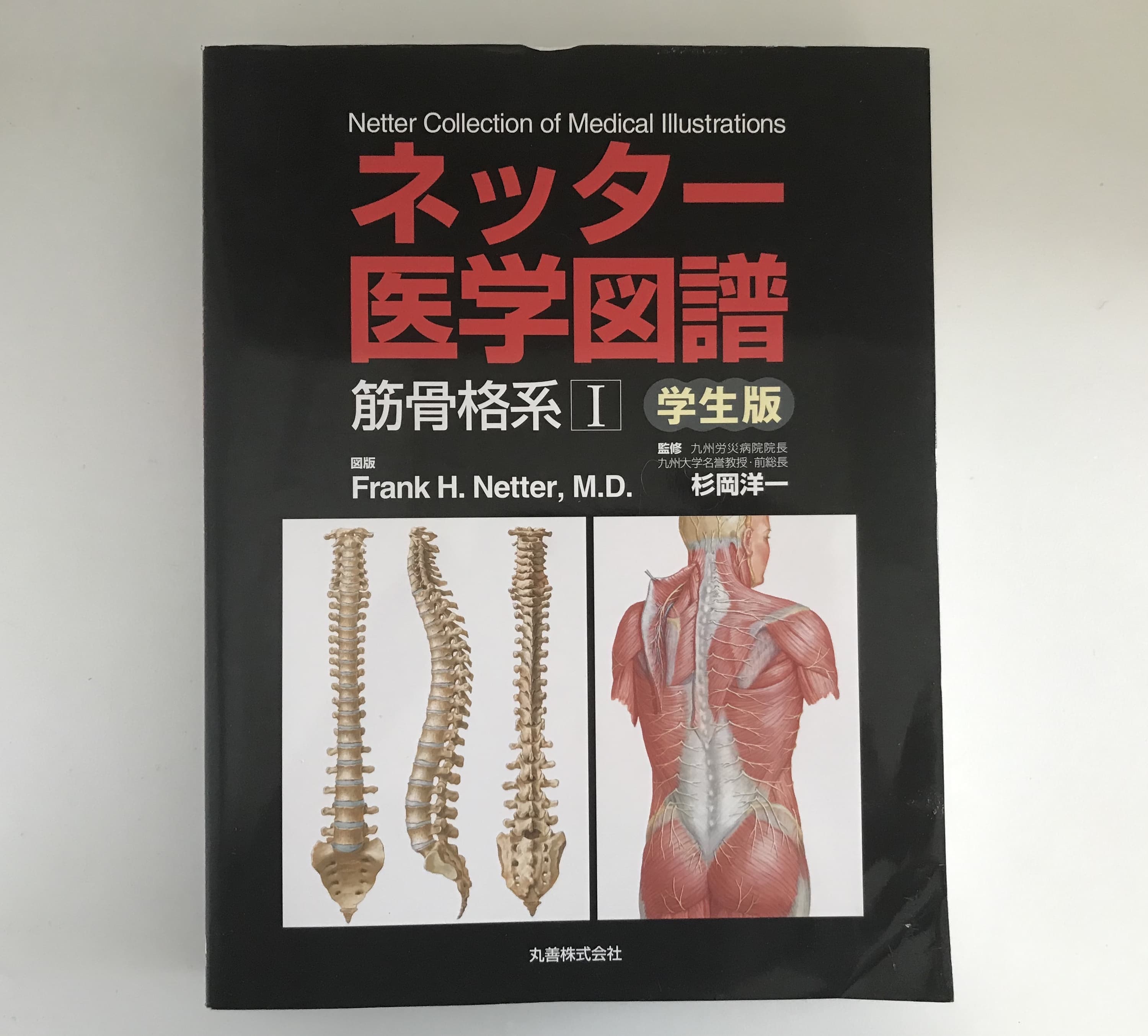 ネッター医学図譜(解剖図デザイン)